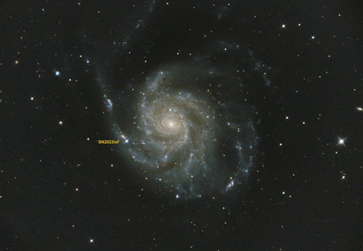 M 101 mit Supernova SN2023ixf