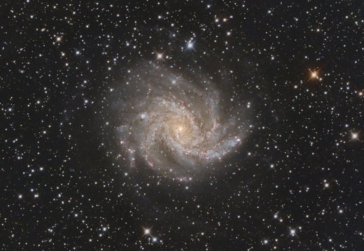 NGC 6946 Feuerwerksgalaxie