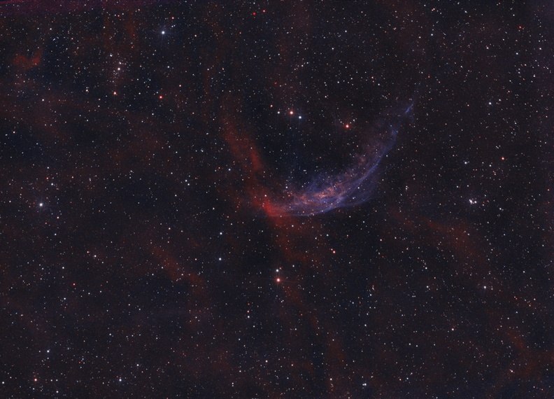 WR 134 HOO NEWT 2021.jpg