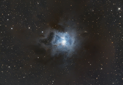 NGC 7023 Iris Nebel