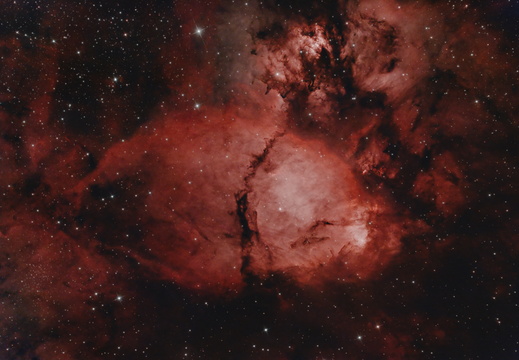 IC 1795 Fishhead Nebula
