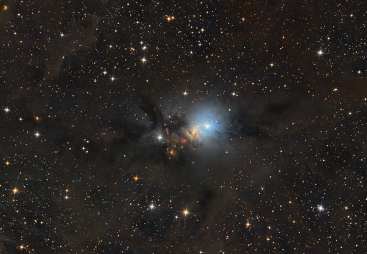 NGC 1333 Embryonebel