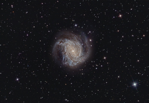 M 83 Southern Pinwheel Galaxy