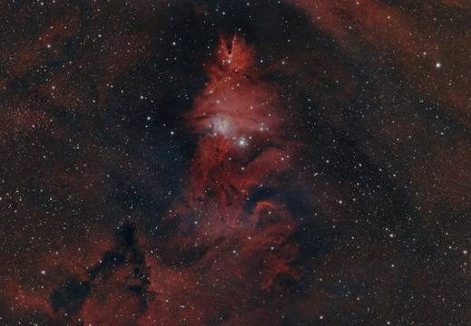 NGC 2264 - Weihnachtsbaum-Sternhaufen und Konusnebel