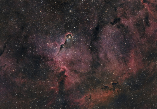 Elephant's Trunk Nebula