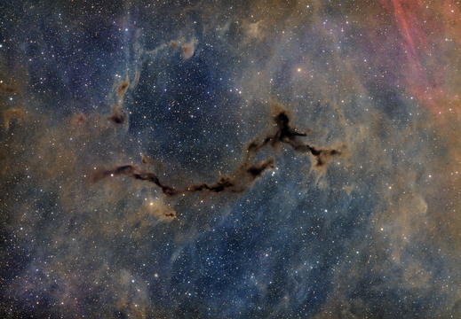 Februar: Barnard 150 - Dunkler Seepferdchen-Nebel by Martin Gillner