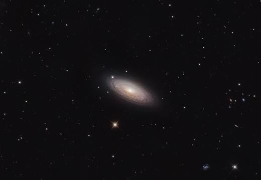 Mai: NGC 2841 by Martin Gillner