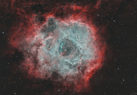 Oktober: NGC 2237 - Rosettennebel by Chris Kampe