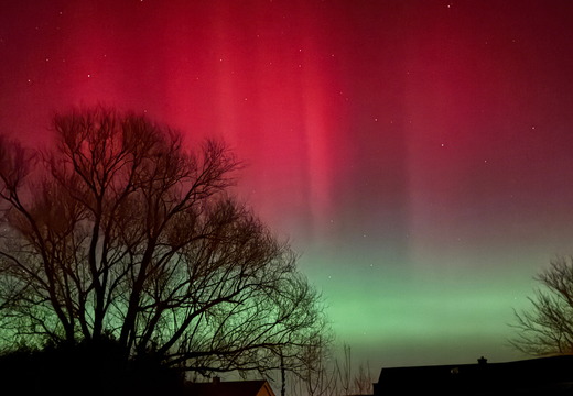 Polarlicht in Bornum am Elm