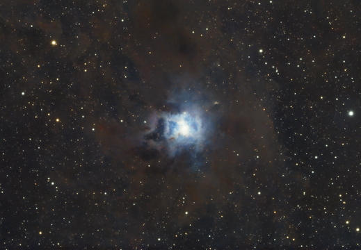NGC 7023 - Irisnebel